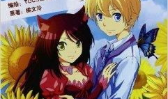 动漫书,穿越时空的奇幻冒险之旅